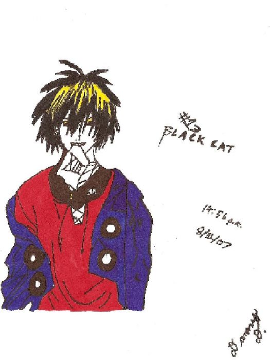 Black Cat Xiii