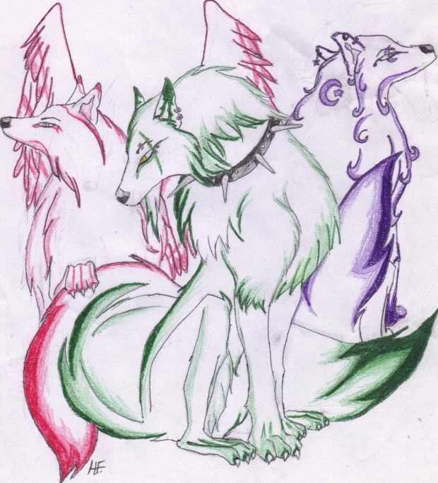 The Three Wolves