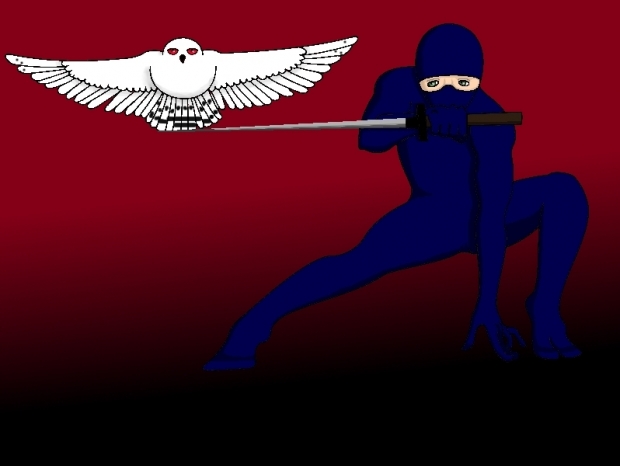 Stealthiest Ninja