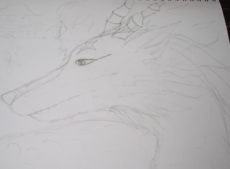 Haku
