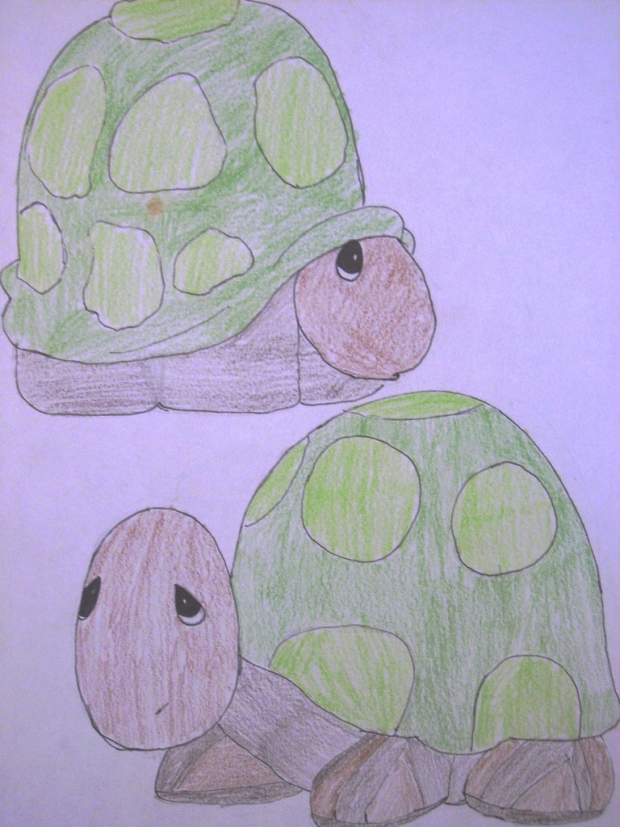 Precious Moment Turtles