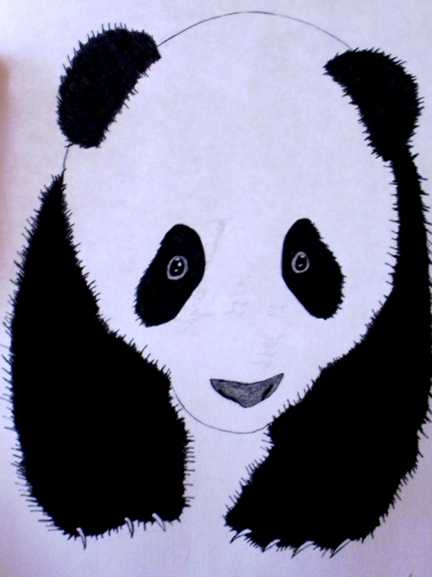 Baby Panda