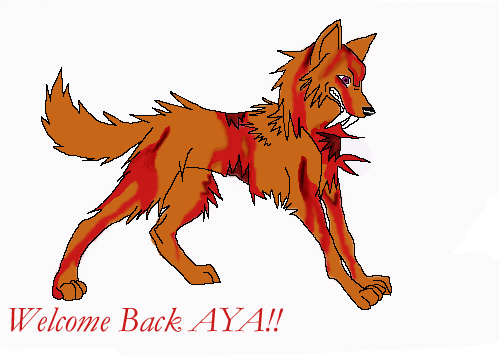 Back From The Dead