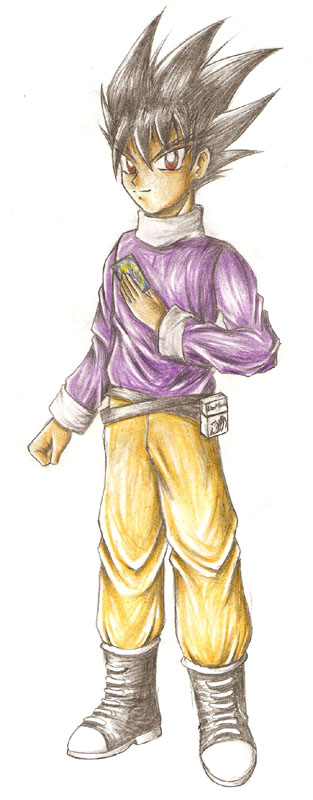 Shobu Kirifuda