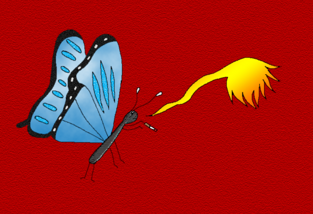 Blue butterfly