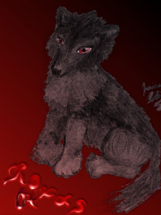 Happy B-day, Roxas07!