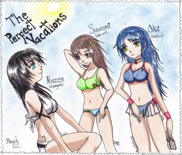 The Perfect Vacations