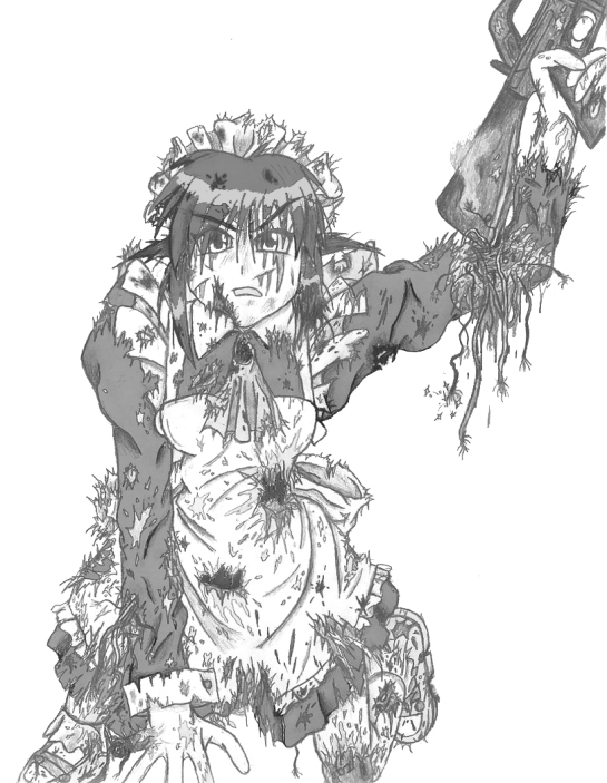 Maid On A Mission