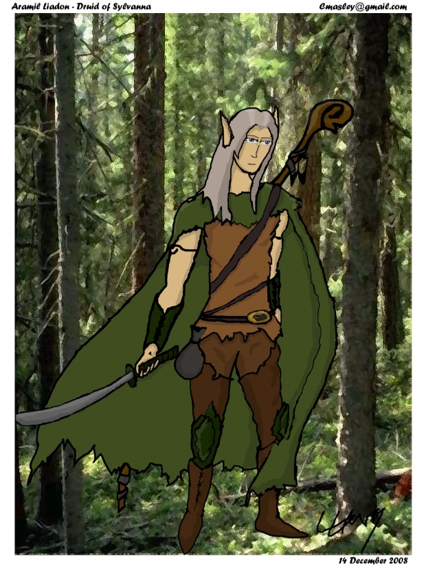 Aramil Liadon - Druid of Sylvanna