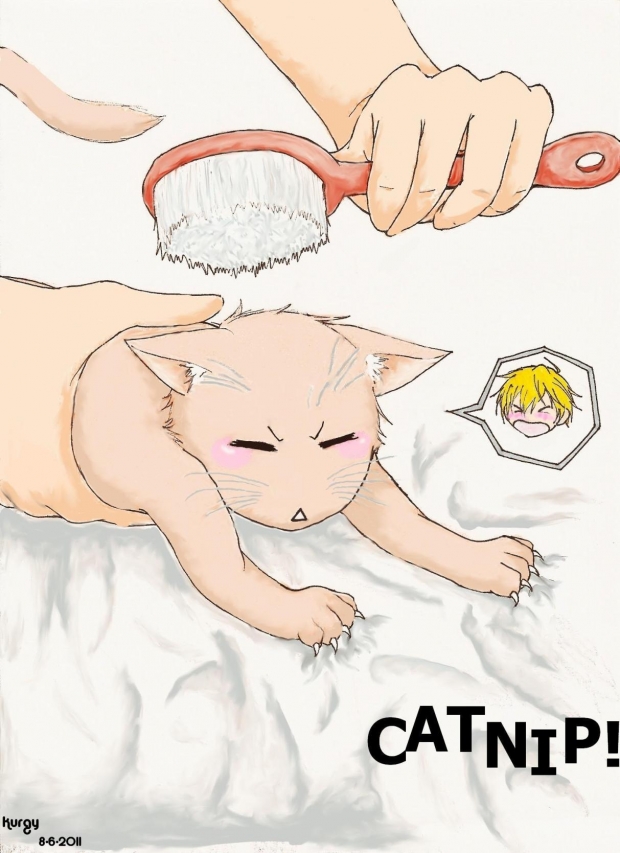 Catnip!