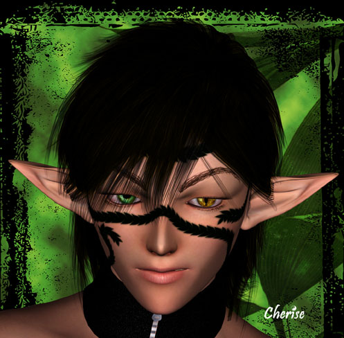 Youkai Hakkai Closeup