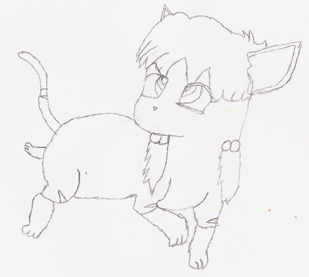 shampoo in her cat form