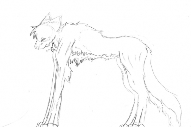 anime wolf lineart. Emo wolf lineart