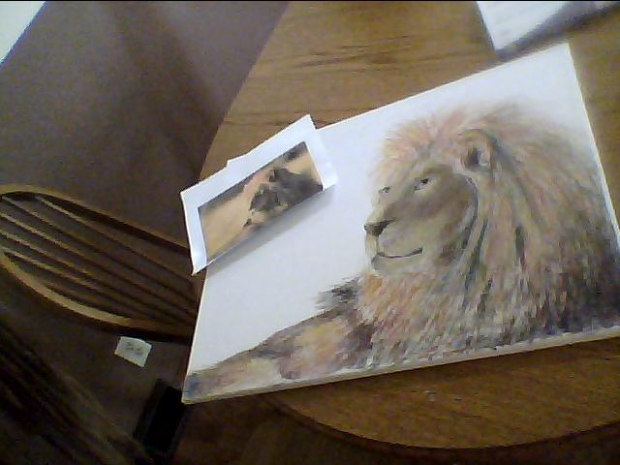 Lion