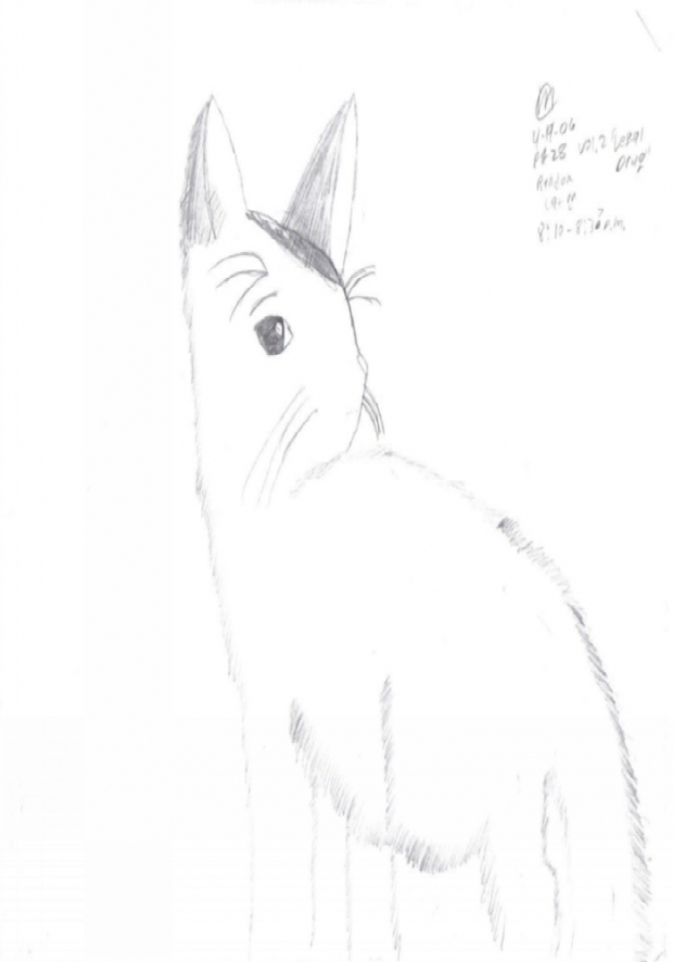 Kitty