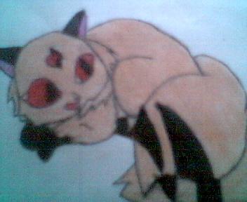 Kirara