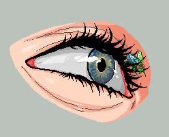 Fly Trap