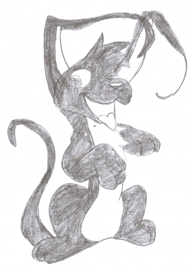 A neopet