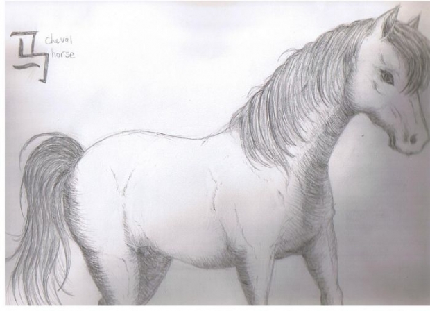 The Horse