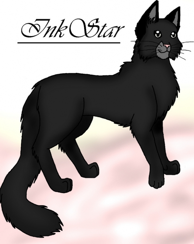 Black Cat