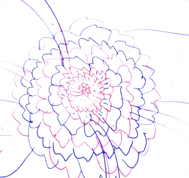 Red and Blue Carnation