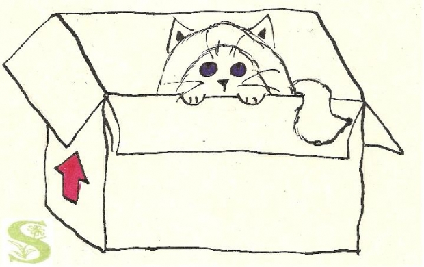 Karupin in a box