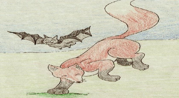fox and bat