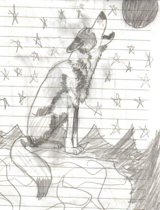 wolf