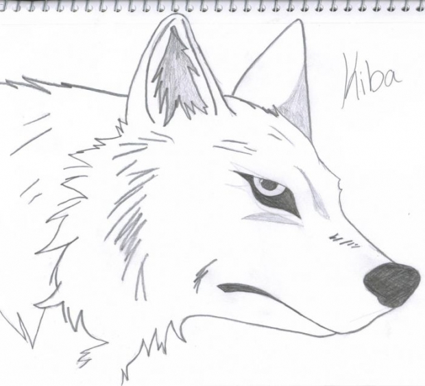 wolf rain coloring pages - photo #16