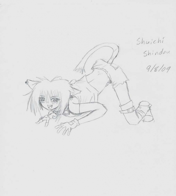 Shuichi the cat