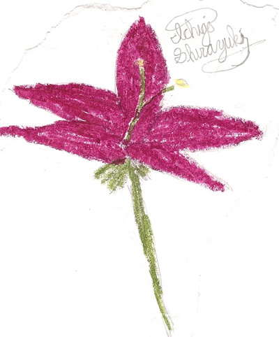 Flower