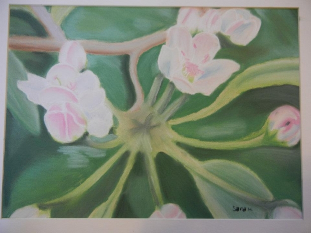 Chalk Pastel