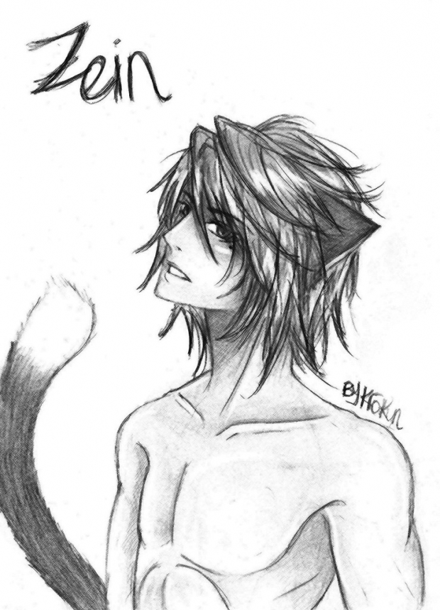 Zein Scketch
