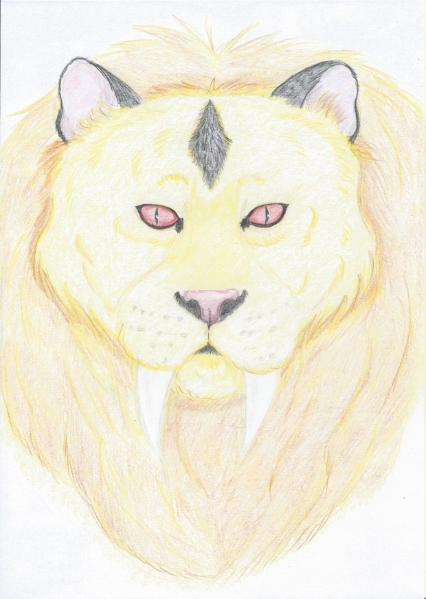 Kirara