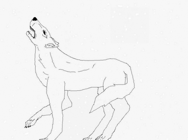 Kiba Howl