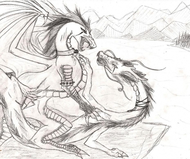 Dragons do battle too