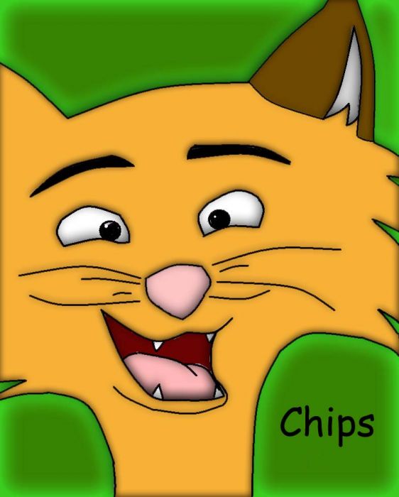 Chips