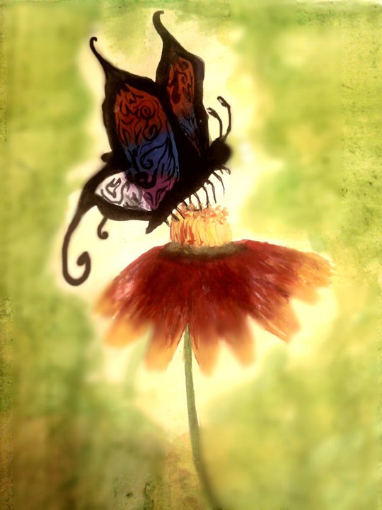 butterfly on flower