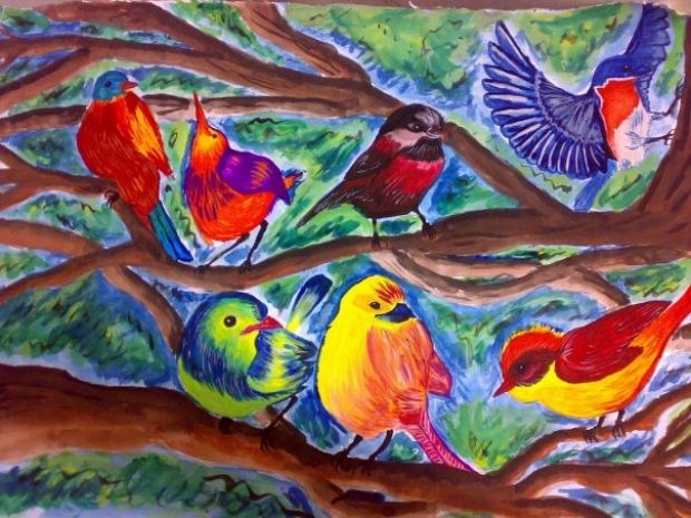 birds