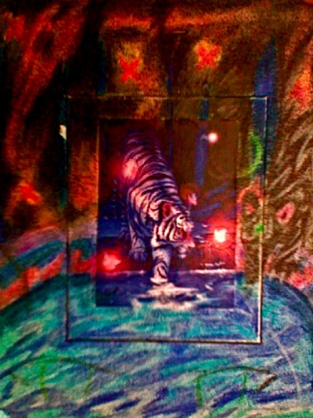 a tiger's world