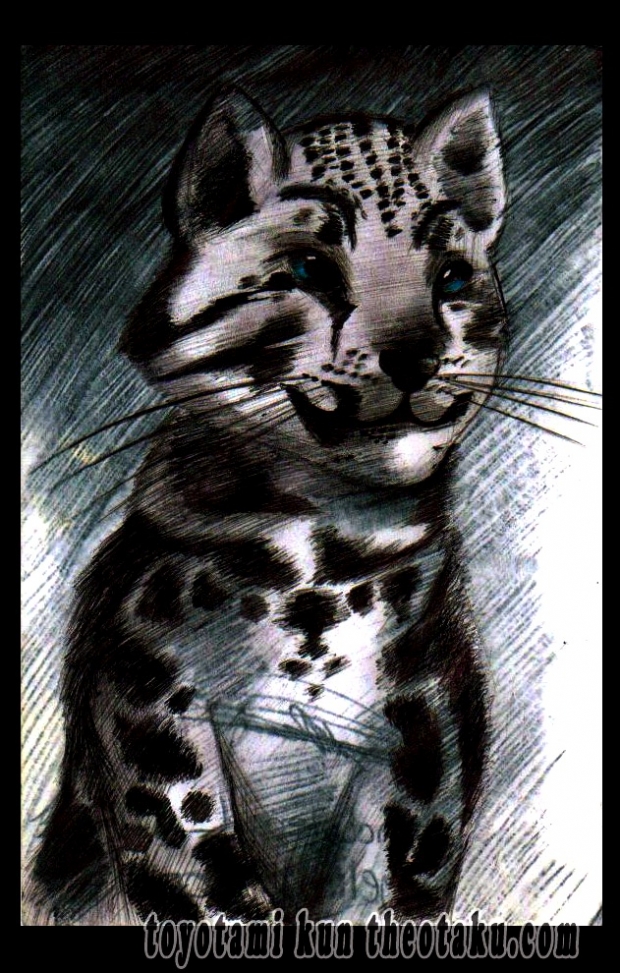 Snow Leopard