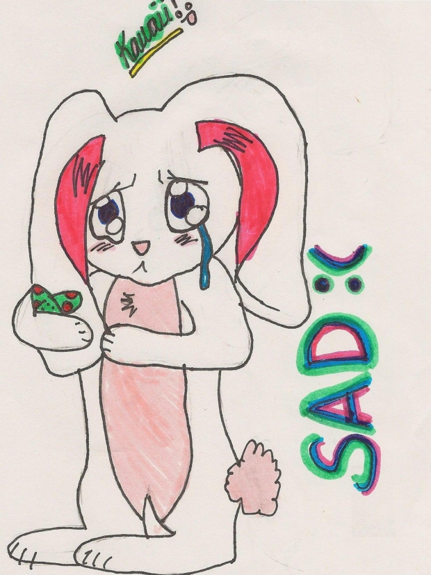bunny