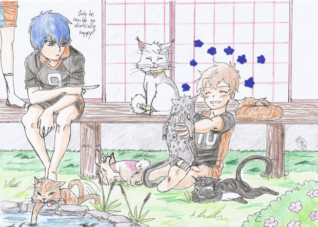 lots of cats