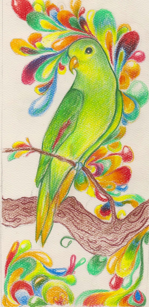 Bird