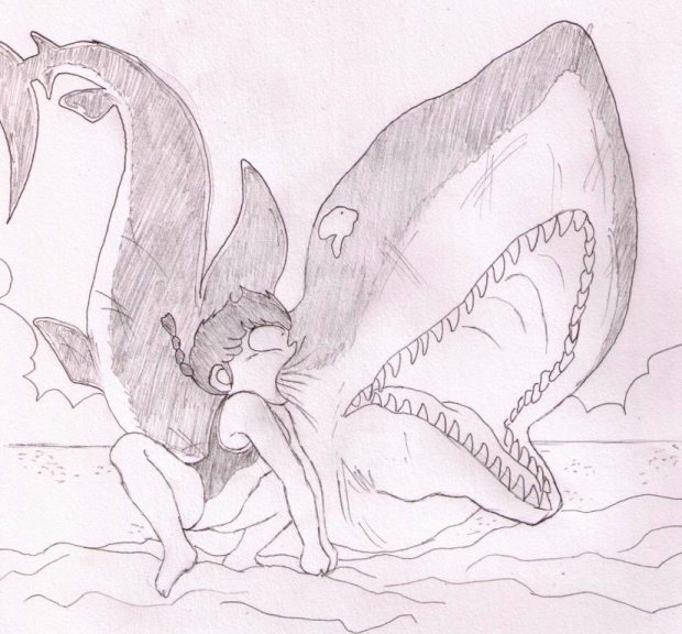 Shark