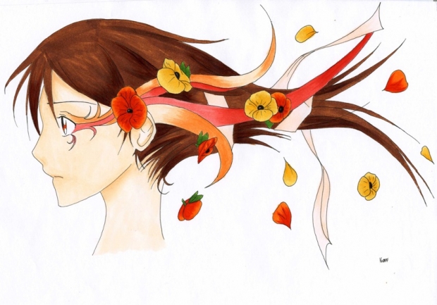 Poppies (color)