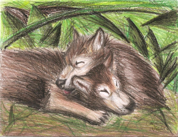 cute wolf pups. We now require registration to download high resolution fan 