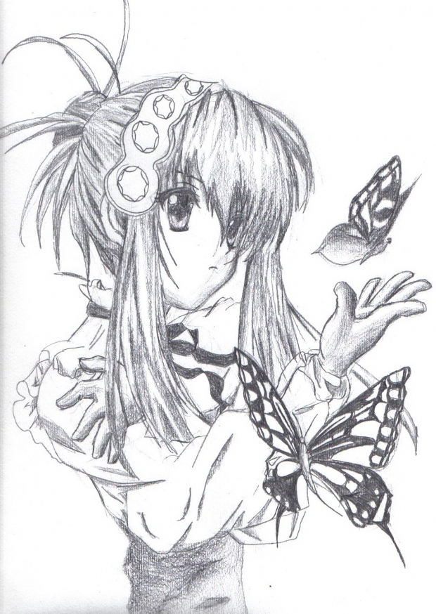 Butterfly