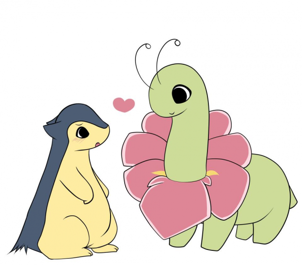 A bit shy
