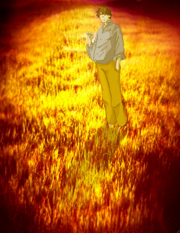 Yellow Shadows